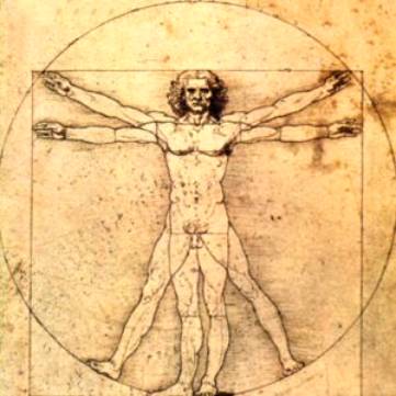 Léonard de Vinci photo 1