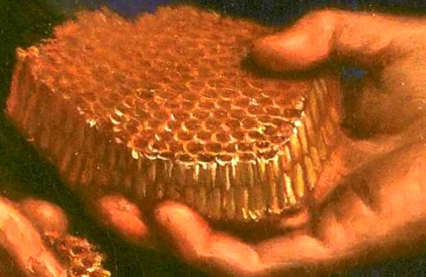http://www.encyclopedie-universelle.net/abeille1/guercino-le-guerchin-samson-rayon-miel-detail.jpg